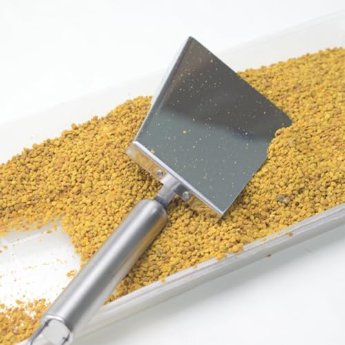 FENICAL Beekeeping Shovel for Bee Case Maintenance Stainless Steel for Hive Cleaning with Tail Hanging Hole Design, Efficient Honeycomb Scraper Tool in Beekeeping
