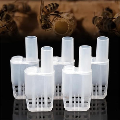 20Pcs Bees Isolator Clips Beekeep Cage Beekeeper Rearing Tools for Home Beekeeping and Bees Captures Beekeep Cage