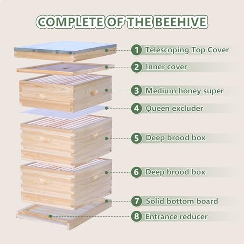 Bee Hive Boxes 10 Frame Langstroth Beehive,Complete Beehive Kit Includes 2 Deep Brood Bee Hives Box, 1 Medium Super Bee Box with Beehive Frames and Foundation - size: 3-Layre