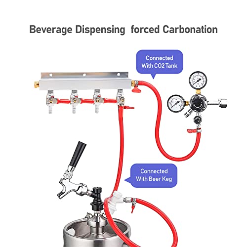 4-Way Gas Manifold CO2 Distributor Manifold 5/16 inch Barb/Stem Splitter Beer Integrated Check Valves Homebrew Beer Making Brewing Tool-CO2 gas input at RIGHT side+5CLAMPS - color: 4WAY,GAS INPUT AT RIGHT