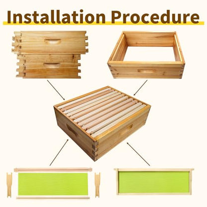 10 Frame Langstroth Medium Super Box Dipped in Beeswax, Bee Hive Box Sections of Wood for Beehives Include Beehive Frames and Wax Foundations, 20 Pack(Green Unassembled) - size: Medium 20pack
