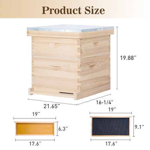 BeeCastle 10 Frame Langstroth Bee Hive, Beehive Starter Kit for Beginners with Beehive Frames and Waxed Foundation (1 Deep Box & 1 Medium Box)