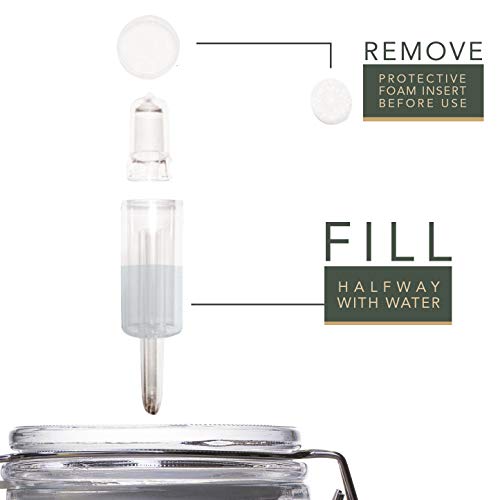 6 Pack Airlocks BPA-Free Hydrolocks for Fermenting, Brewing, Beer, Wine, Sauerkraut, Kimchi and Other Fermentation Projects