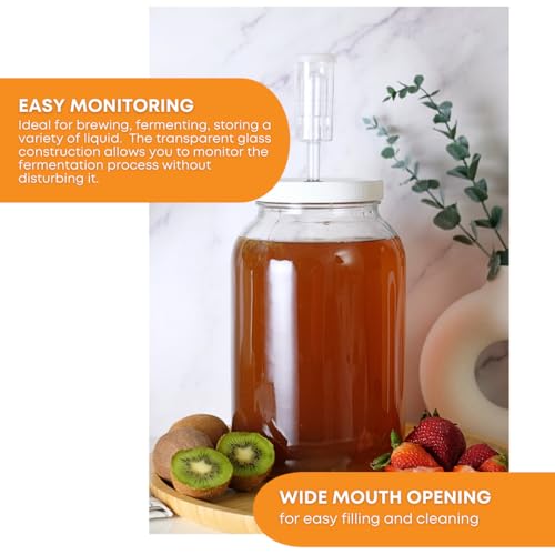 FastRack 1 Gallon Glass Jar Fermentation Kit with Econolock Airlock and North Mountain Supply 1lb Bentonite Clay