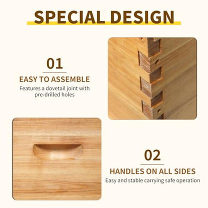 10 Frame Medium Super Bee Box Langstroth Bee Hive 100% Dipped in Beeswax, Honey Supers Beebox Sections of Wood for Beehives Include Beehive Frames and Green Wax Foundations, 1 Set(Unassembled) - size: Medium 10pack