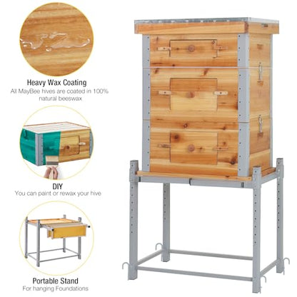 Aivituvin Bee Hive Bee Box 10 Frame Upgrade with All -Around Metal Frame Bee Castle Coated with 100% Beeswax Includes Waxed Foundations,2 Deep Boxes & 1 Medium Box