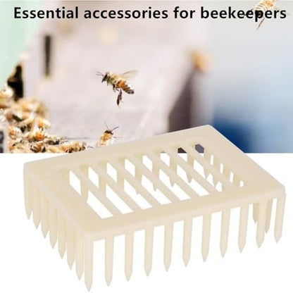 6 Pcs Queen Bee Cage Plastic Beekeeping Rearing Box for Isolation Queen Bee Transporting Catcher Tool