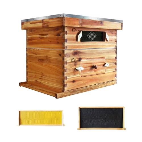 10 Frame Bee Hive Coated with Beeswax Complete Beehive Kit Bee Box with Beehive Frames and Wax Foundations Wax Coated Bee Hives for Beginner (1 Deep Box & 1 Medium Box)