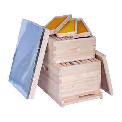 POLLIBEE 8 Frame Beehive kit, Complete Bee Hive for Beekeeper, Langstroth Bee Hives Include 1 Deep and 1 Medium Bee Box with Bee Frames and Foundation(Unassembled)