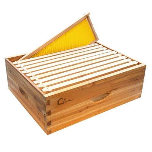 10 Frame Langstoth Medium Super Beehive Box, Honey Super Bee Box Dipped in 100% Beeswax, Wax Coated Bee Hive with Frames and Foundations Sheets for Beekeeping Supplement - style: without Window