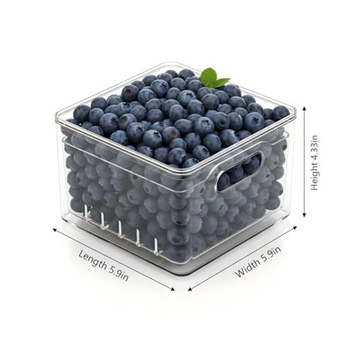 2 Pack Fruit Storage Containers for Fridge with Lid & Drain Basket | 3-in-1 Wash-Drain-Store – BPA-free clear containers keep berries/strawberries fresh, ready-to-eat in fridge.
