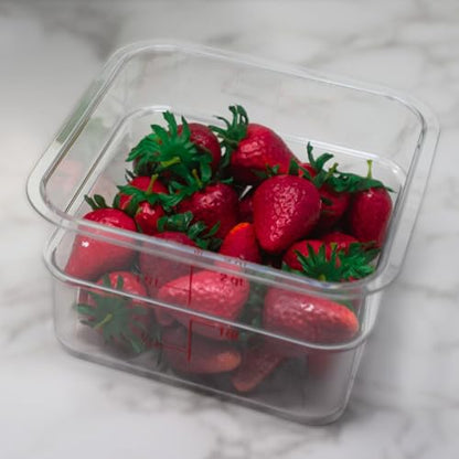 Cambro Food Storage Container - Classic Series Square - 2 QT (Quart) - Commercial Grade for Food Prep (Clear) - size: 2 QT