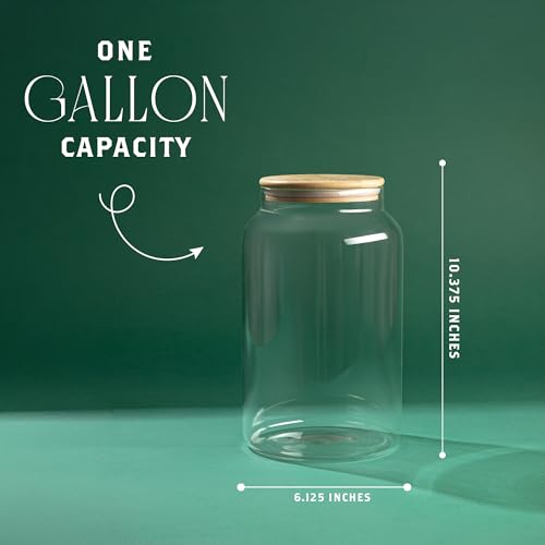1 Gallon Glass Large Jar with Airtight Bamboo Lid - Strong Clear Borosilicate Canister for Kitchen Food Storage Organizing, Terrarium, Pantry Decorative Container & Laundry Room - Pack of 1