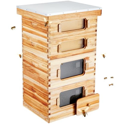 Bee Hive 40 Frame Bee Hives Starter Kit, Beeswax Coated Cedar Wood, 2 Deep + 2 Medium Bee Boxes Langstroth Beehive Kit, Transparent Acrylic Windows with Foundations for Beginners Pro Beekeepers Stur
