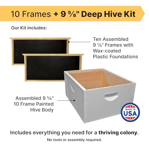 Mann Lake 10-Frame Deep Hive Kit, Fully Assembled 9⅝" Bee Hive Body with 10 Frames & Beeswax-Coated Plastic Foundation for Brood Replacement, Colony Growth & Honey Production, Made in USA, Painted - color: Assembled, Paint