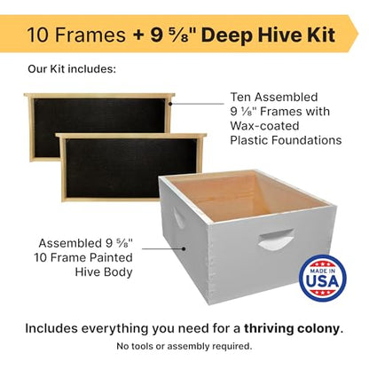 Mann Lake 10-Frame Deep Hive Kit, Fully Assembled 9⅝" Bee Hive Body with 10 Frames & Beeswax-Coated Plastic Foundation for Brood Replacement, Colony Growth & Honey Production, Made in USA, Painted - color: Assembled, Paint