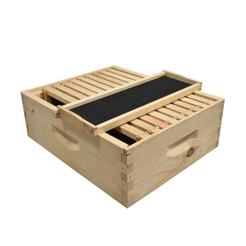 BEE-GL-1SK-TK3 GL-1SK-TK3 Super Box Kit Wood 10 Plastic Foundations, Metal Queen Excluder/Frame Spacer Included, (GLHSBOX), Medium, Multicolor