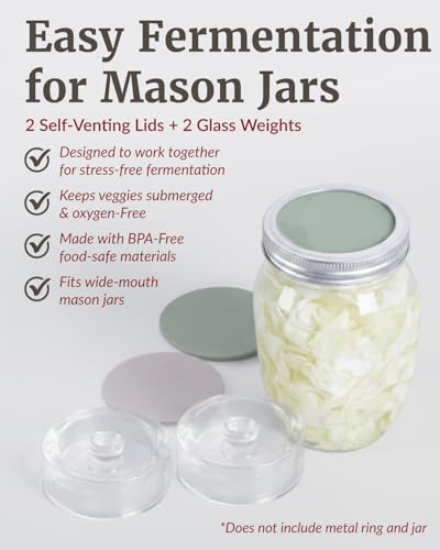Elementi Mason Jar Fermentation Kit - Set of 2 Silicone Fermenting Lids & Wide Mouth Fermentation Weights - Sauerkraut, Kimchi & Pickling Kit - Airlocks for Fermenting Jar - color: Grey, Sage Green