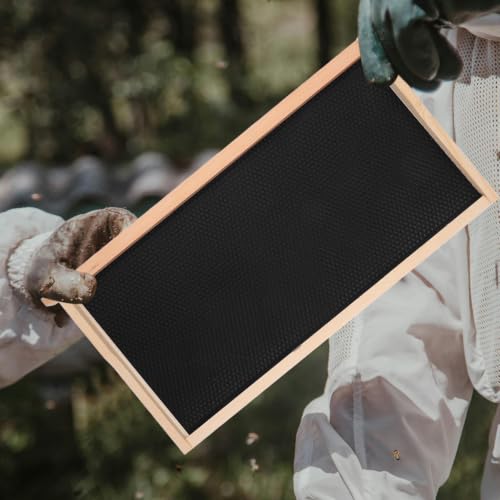 Bee Keeping Frame Holder Made of Pine Wood and Plastic, Versatile Beekeeping Tool for Holding Hive Frames, for General Beekeeping Tasks and Honey Harvesting