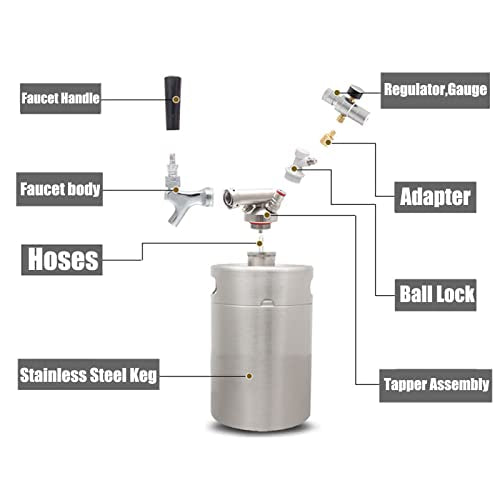 Mini Stainless Steel Beer Keg,Portable Home Dispenser System to Keep Fresh for Home Kitchen Brewing Beer,Keeps Carbonation for Craft Beer Draft and Homebrew,2 liters