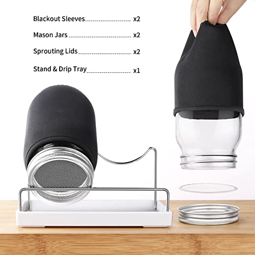 Seed Sprouting Jar Kit - 2 Wide Mouth Mason Jars with 316 Stainless Steel Sprouting Lids Covers, Drip Tray and Stand for Growing Broccoli Alfalfa Beans Sprout (Two Jars)