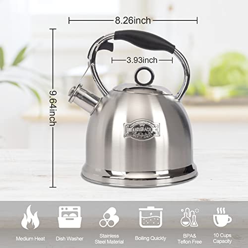 Tea Kettle for Stovetop, Food Grade Stainless Steel Water Kettle, Tea Pot for Home & Kitchen, 3.0 Qt - color: Silver