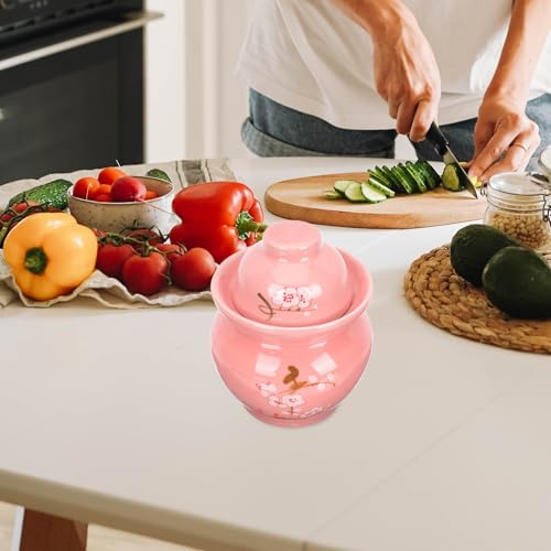 Hemoton Ceramic Pickle Jar with Dual Lid Sealed Food Container 2.5l Traditional Chinese Sauerkraut Crock for Kitchen Storage and Fermentation