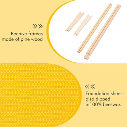 Frame Assembled Medium Bee Hive Super Box - Beeswax Coated Beehive Kit for Beekeepers, Includes 10 Wooden Frames and Waxed Foundations, Standard Langstroth Size