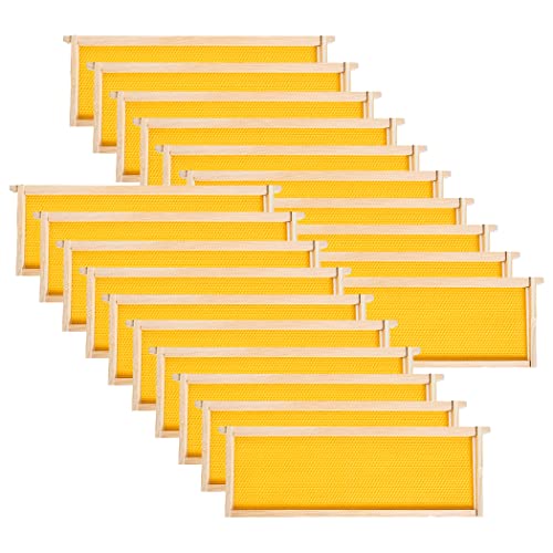 MayBee 20 Pack Honey Bee Frames with 100% Beeswax Coated Food Grade Foundation Sheets, Medium Super Beehive Frame for Beekeeping, 6-1/4-Inch (Yellow) - color: 20 Super Frame yellow
