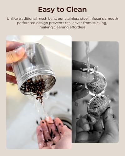 Reinmoson 2 Pack Large Tea Ball Infusers for Loose Leaf Tea & Spice Ball | 304 Stainless Steel Large Tea Strainer, Threaded Lid, Chain Hook, Extra Fine Mesh Loose Leaf Tea Steeper for Black Tea, Herb - size: Extra Large