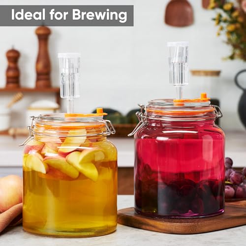 0.6 Gal Fermentation Kit, Glass Jars, Weights & Airlocks, 2 Pack | Perfect for Sauerkraut, Kimchi, Kombucha and Pickles - size: 0.6 Gallon