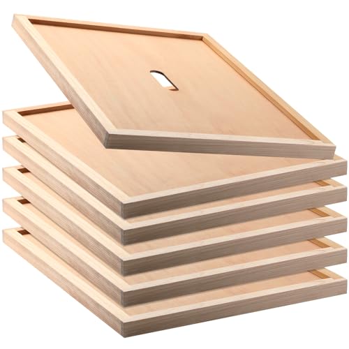 DoubleFill 6 Pcs Beehive Inner Cover for 10 Frame Hive Box Cover with Feeding Hole Beehive Insulation Ventilation Inner Cover for Beekeeping Tool