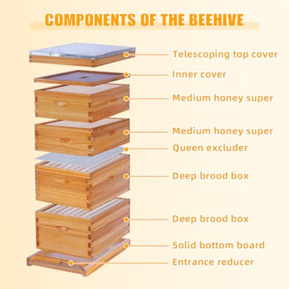 POLLIBEE 8 Frame Bee Hive Beeswax Coated Complete Bee Hives Includes Bee Frames and Waxed Foundations (2 Deep Boxes & 2 Medium Boxes) - size: 8 Frame-4L