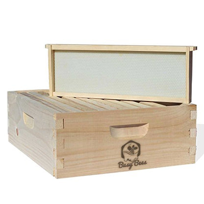 Amish Made in USA Complete Langstroth Bee Hive Includes Frames and Foundations (2 Deep, 1 Medium)