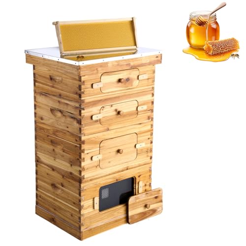 Bee Hive 40 Frame Bee Hives Starter Kit, Beeswax Coated Cedar Wood, 2 Deep + 2 Medium Bee Boxes Langstroth Beehive Kit, Transparent Acrylic Windows with Foundations for Beginners Pro Beekeepers Stur