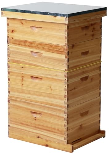 10-Frame Langstroth Bee Hive Coated with 100% Beeswax Includes Beehive Frames and Foundations (2 Deep Boxes & 2 Medium Boxes) - size: 4 Layer