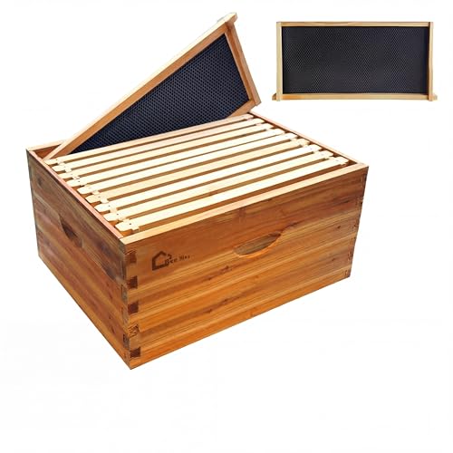 Patikuin Superior 10-Frame Deep Brood Beehive Box – Cedarwood Frames with 100% Natural Beeswax Coating, Pre-Assembled Weather-Resistant Beekeeping Hive Component