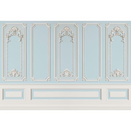 Leyiyi 5x3ft Blue White Vintage Room Inside Backdrop European Frame Modern House French Castle Cementery Wall Retro Style Photo Background Cowboy Kids Birthday Portrait Studio Props Vinyl Wallpaper - color: Blue White, size: 5x3ft