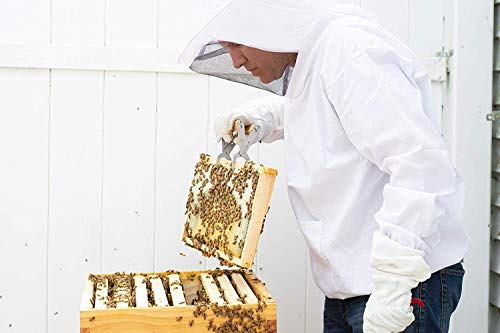 XGOPTS Ventilated Beekeeping Suit Jacket Professional Lightweight Beekeeper Protective Clothing Smock with Hood and Veil - color: White