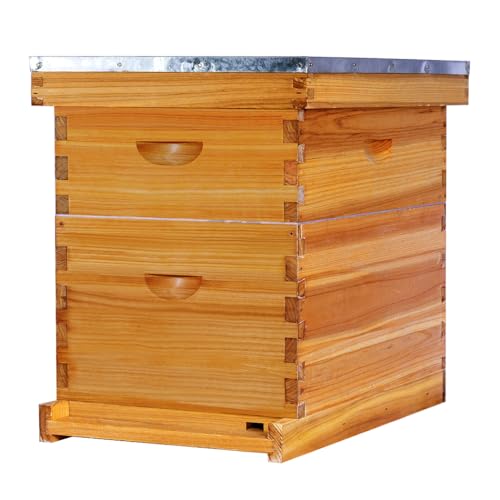 POLLIBEE 8 Frame Beehive Beeswax Coated Langstroth Bee Hives Include 1 Deep Boxes and 1 Medium Bee Box with Beehive Frames and Foundations(Unassembled) - size: 8 Frame-2L