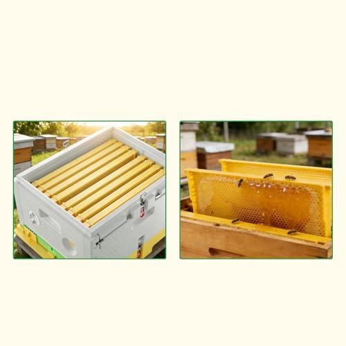 Benefitbee 10 Pack Plastic Deep Beehive Frames, Pre-Carved Langstroth Brood Frames Yellow | One-Piece Seamless pre-carved bee frames, easy clean, fit standard 9-1/8 inch Langstroth deep hive, durable plastic