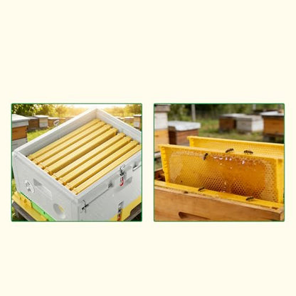 Benefitbee 10 Pack Plastic Deep Beehive Frames, Pre-Carved Langstroth Brood Frames Yellow | One-Piece Seamless pre-carved bee frames, easy clean, fit standard 9-1/8 inch Langstroth deep hive, durable plastic