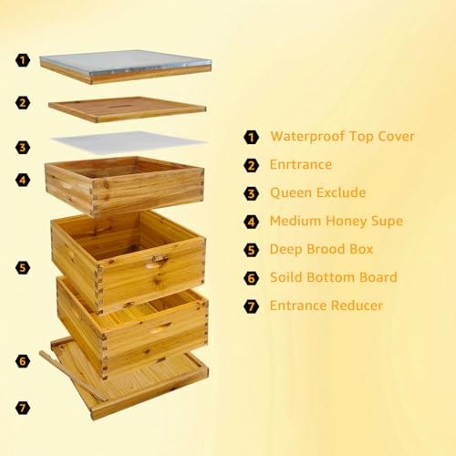Bee Hives Coated Bee Hive Starter Kit, 10-Frame Langstroth Beehive with 2 Deep and 1 Medium Super Boxes, Wax Dipped Wood Bee House Includes Metal Top Cover & Queen Excluder (No Frames)