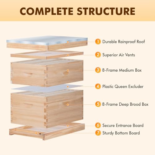 8 Frame Bee Hive, Compelte Bee Hive Starter Kit Includes 1 Deep Brood Honey Bee Hives Box, 1 Medium Super Bee Box with Beehive Frames and Foundation Sheets