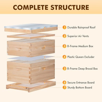 8 Frame Bee Hive, Compelte Bee Hive Starter Kit Includes 1 Deep Brood Honey Bee Hives Box, 1 Medium Super Bee Box with Beehive Frames and Foundation Sheets