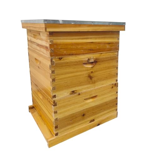 Bee Hives Coated Bee Hive Starter Kit, 10-Frame Langstroth Beehive with 2 Deep and 1 Medium Super Boxes, Wax Dipped Wood Bee House Includes Metal Top Cover & Queen Excluder (No Frames)