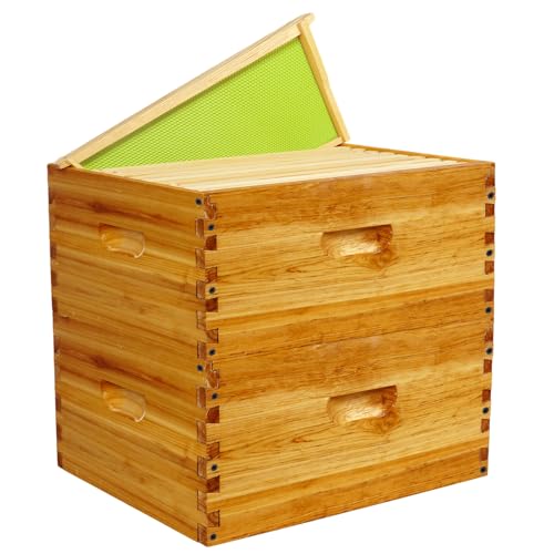 10 Frame Deep Brood Box Langstroth Bee Hive Box Dipped in Beeswax, Sections of Wood for Beehives Include Beehive Frames and Wax Foundations, 20 Pack(Green Unassembled) - size: Deep 20pack