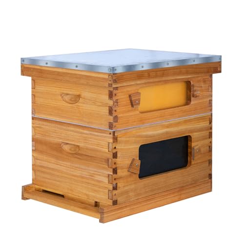 8 Frame Bee Hive Starter Kit with Windows, Beeswax Coated Langstroth Bee Hives Boxes for Beekeepers with Beehive Frames and Waxed Foundations (1 Deep Brood Bee Box & 1 Medium Super Box) - size: 8 Frames 2 Layers