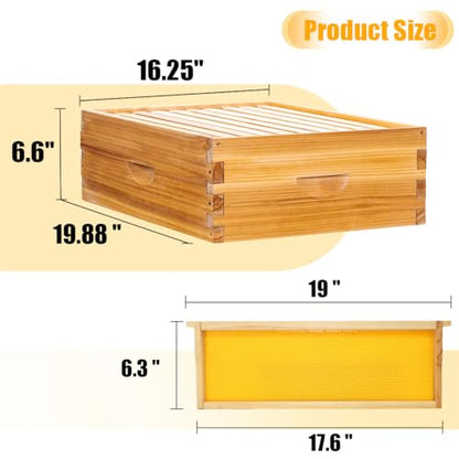 Honey Lake 10-Frame Beehives Starter Kit – Complete Langstroth Hive with 1 Deep Brood Box & 1 Medium Super, Beeswax-Coated, Includes Beehive Frames & Waxed Foundation Sheets