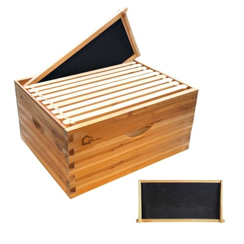 10 FrameDeep Brood Box, Langstroth Beehive Deep Box Dipped in 100% Beeswax, Bee Hive with Beehive Frames and Wax Foundations for Beekeeping Supplement